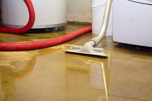 Best Water damage restoration near me  in Lynbrook, NY