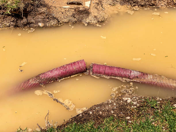 Best 24-hour water damage restoration  in Lynbrook, NY