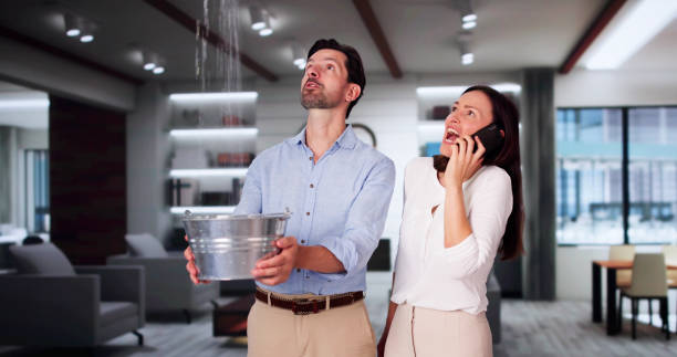 Best Basement water damage restoration  in Lynbrook, NY